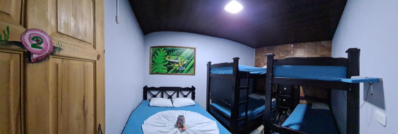 Hostel Tortuguero 7Backpackers Luaran gambar