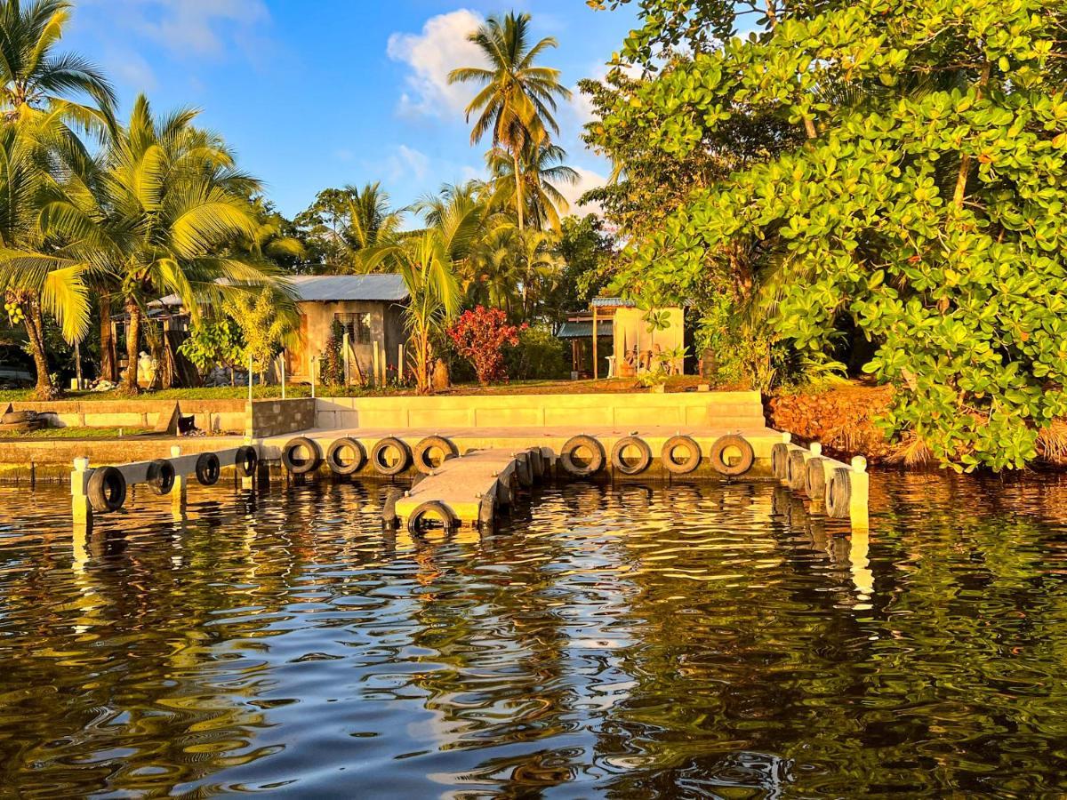 Hostel Tortuguero 7Backpackers Luaran gambar