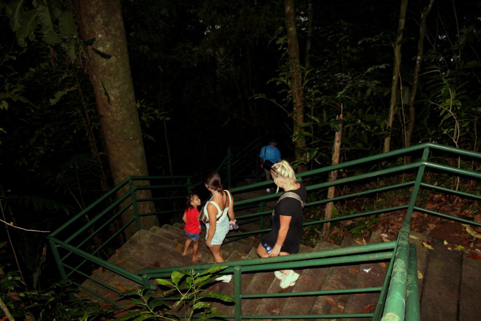 Hostel Tortuguero 7Backpackers Luaran gambar